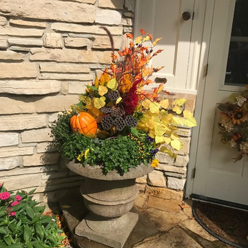 Edina Fall Annuals