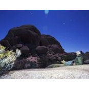 Adam Markle's photo