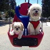 Karolyn Vong's photo
