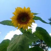Luci Fernandez's photo