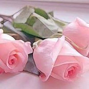 Boshra Mohamed's photo