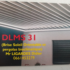 DLMS 31