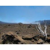 Stéphanie Bouvier's photo