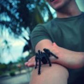 Pieter De Ryck's photo