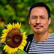 Nguyen Son's photo