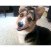 Tracy Wittig's photo