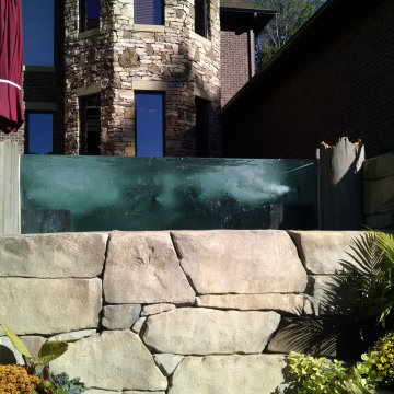 Pool 1