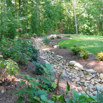 Woodland Border Dry Creek Bed