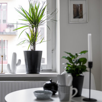 Roslagsgatan 19