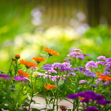 Lady Fox Gardening