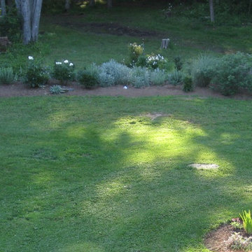 My Garden - HEDGE