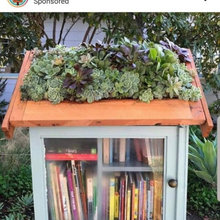 Little Free Library Ideas
