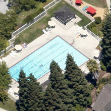 Pool Landscape