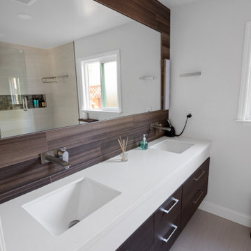 interior Remodel, Cambrian Area