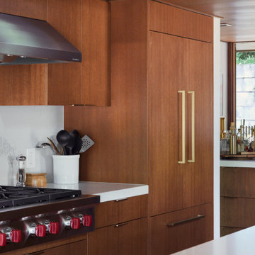 Olof Dahlstrand Remodel by Klopf
