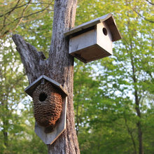 birdhouse