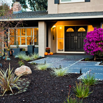 Santa Clara front yard