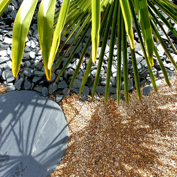 Jardin avec palmier