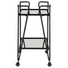 Bowery Hill Metal and Mirorred Mid Century Bar Cart in Black