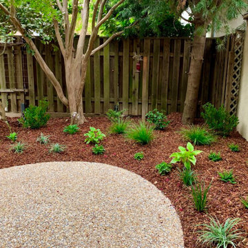 East Sac shade garden