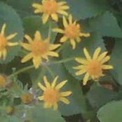 Brenda Beuke's photo
