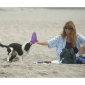 Tracy Olson's photo
