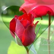 Helen Ho's photo