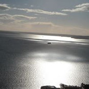 Shalini Gupta's photo