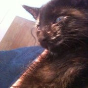 Cat Balco's photo