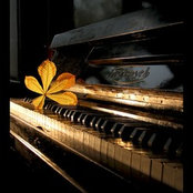 bradulcy's photo