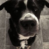 Emma Goldsworthy's photo