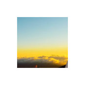 Jason Lee's photo