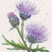 Jill Clear's photo