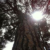 Anne Bhc's photo