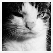 Jamie Hall's photo