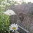 Kirsti Moestue Landscape Design