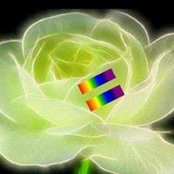 Neal Schulz's photo