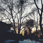 Kaelin's photo