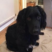 Matthew Towndrow's photo