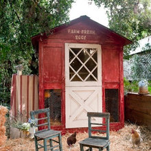 Chicken Coop