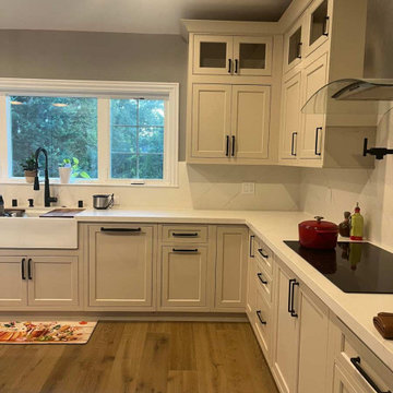 Transitional Mushroom Kitchen Renovation in Danville, CA