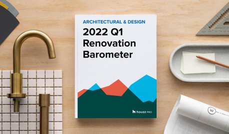 2022Q1 Houzz Renovation Barometer - Architectural & Design Sector