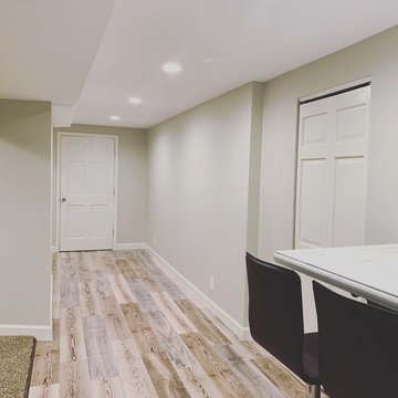 Basement Bar Remodel