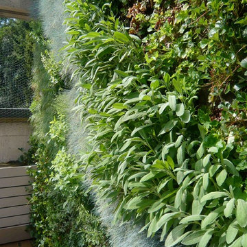 Vertical Herb Garden