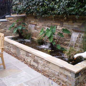 Waterfeatures, flagstone and veneered water feature planted with aquatic plants