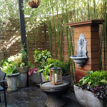 Gowanus Backyard