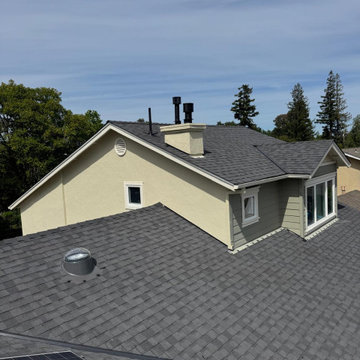 Shingle Roofing