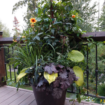 Annual planters
