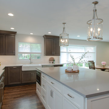 Arlington Heights Kitchen Remodel