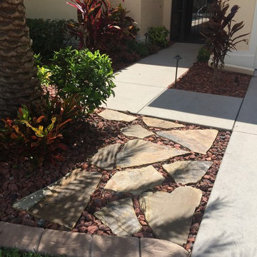 Bromeliads garden